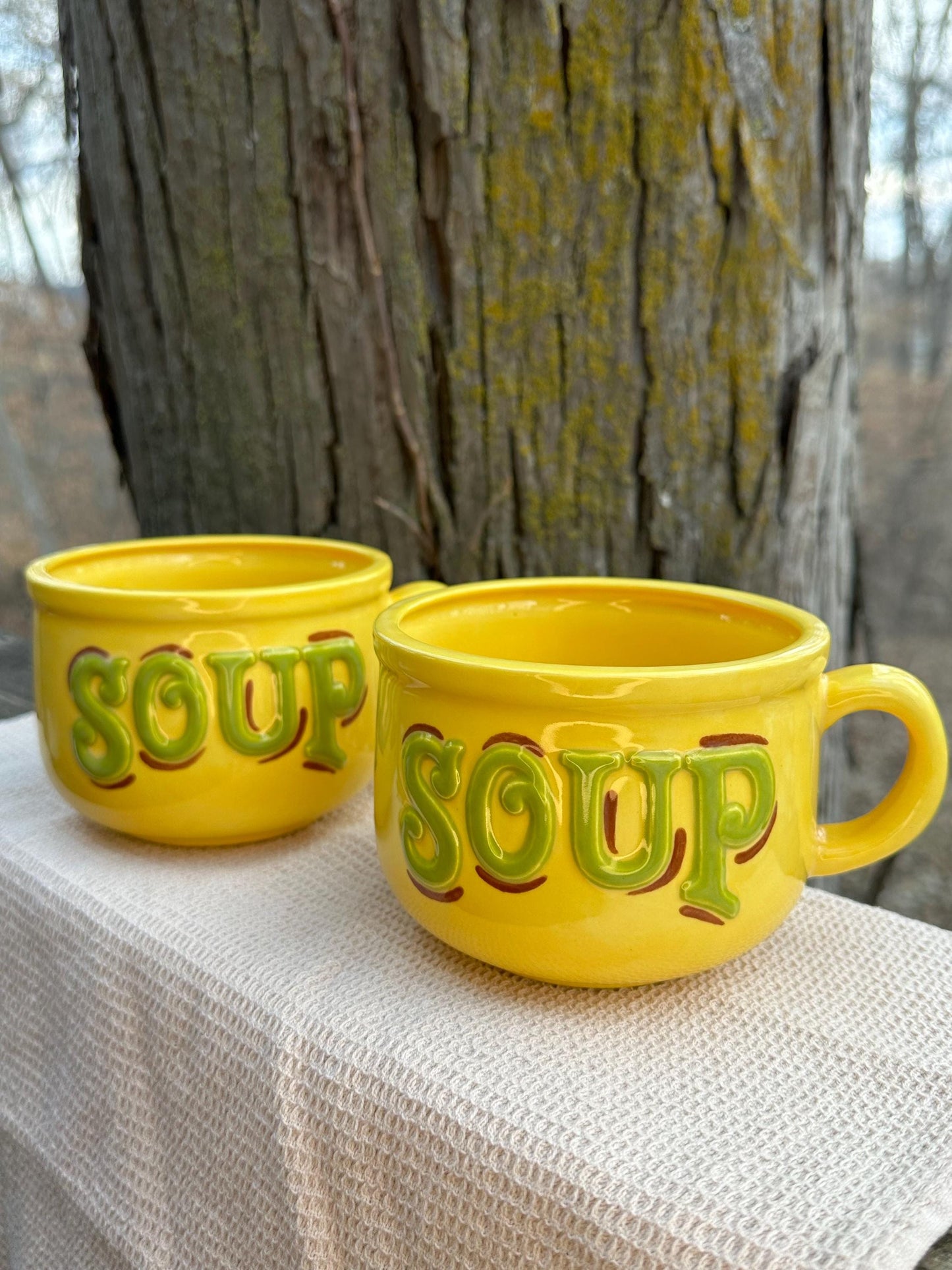 Soup Mugs