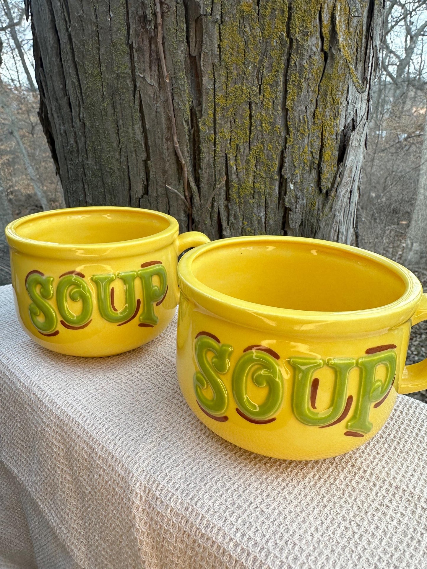 Soup Mugs