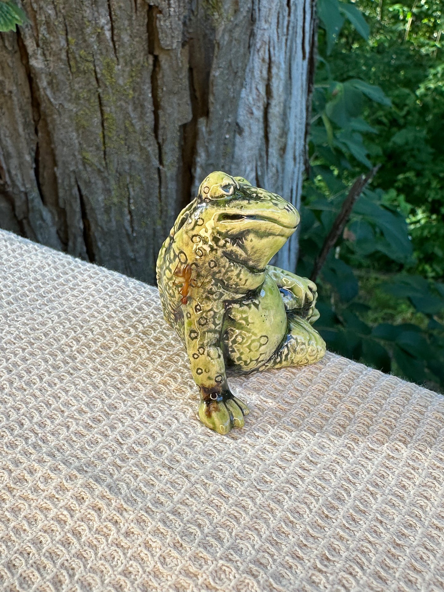 Swanky Shelf Frog