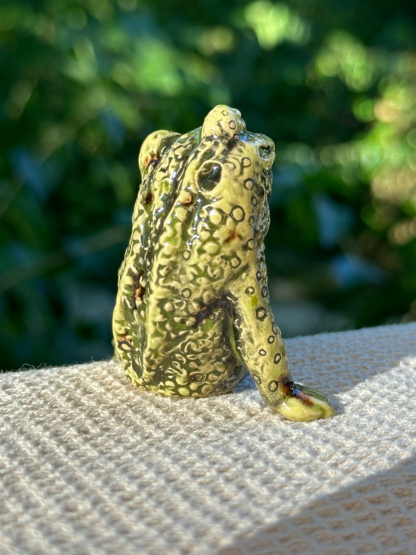 Swanky Shelf Frog