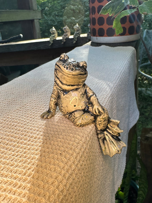 Swanky Shelf Frog