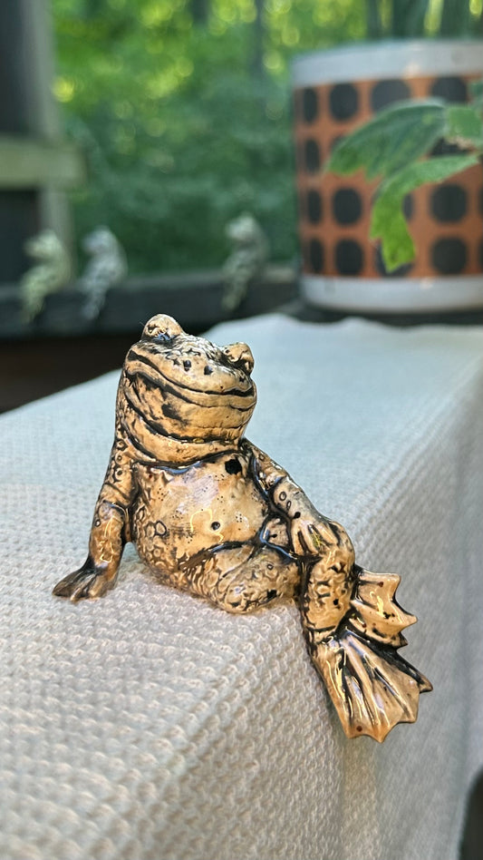 Swanky Shelf Frog
